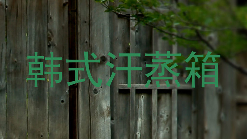 韩式汗蒸箱