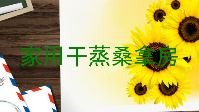 家用干蒸桑拿房