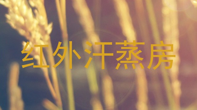 红外汗蒸房