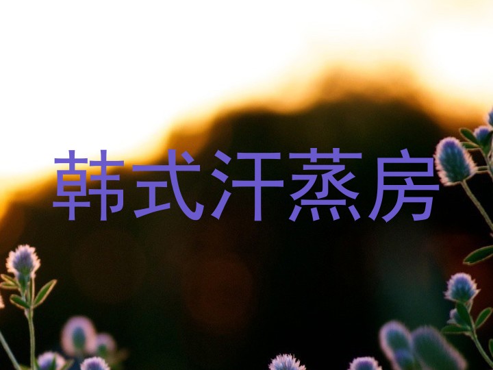 韩式汗蒸房