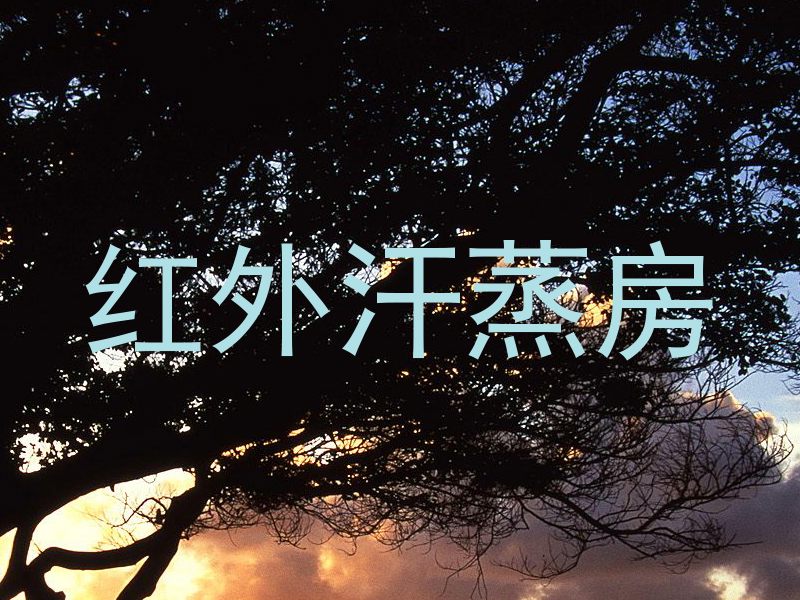 红外汗蒸房