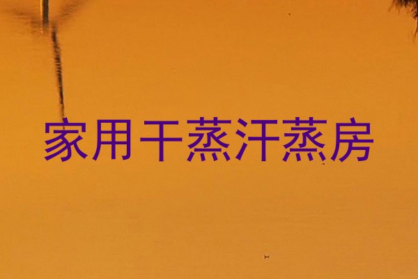 家用干蒸汗蒸房