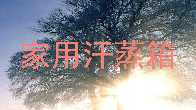 家用汗蒸箱