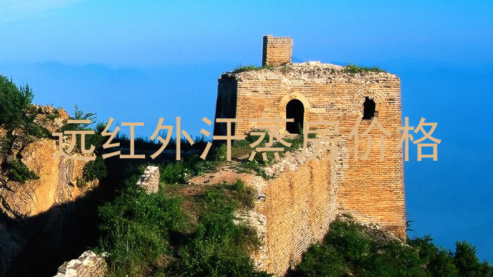 远红外汗蒸房价格