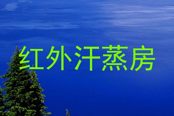 红外汗蒸房