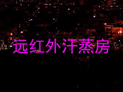 远红外汗蒸房