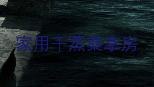 家用干蒸桑拿房