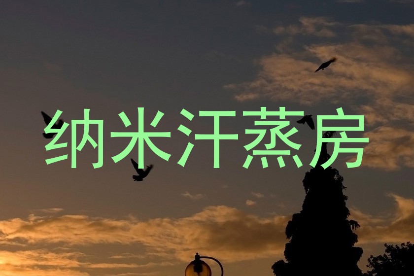纳米汗蒸房