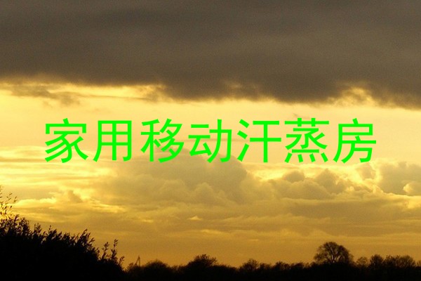 家用移动汗蒸房