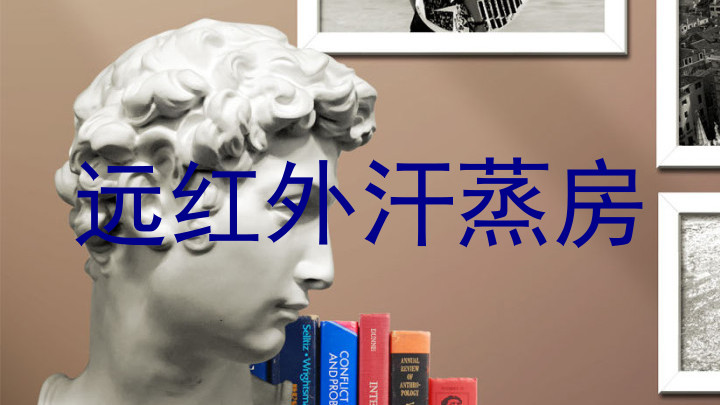 远红外汗蒸房