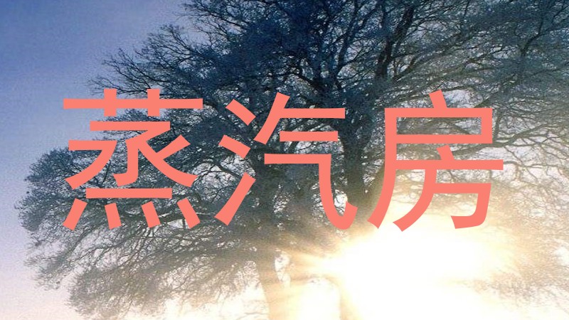 蒸汽房