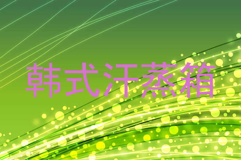 韩式汗蒸箱