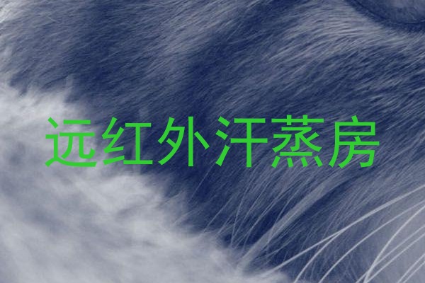 远红外汗蒸房