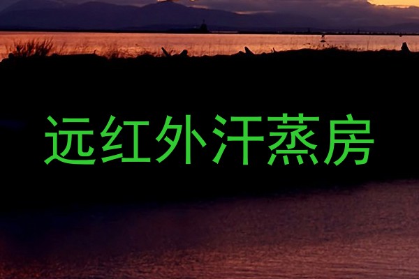 远红外汗蒸房