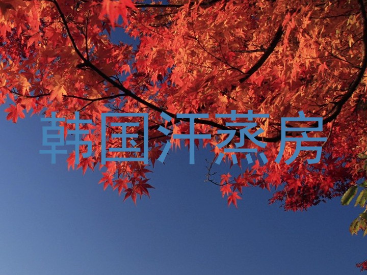 韩国汗蒸房