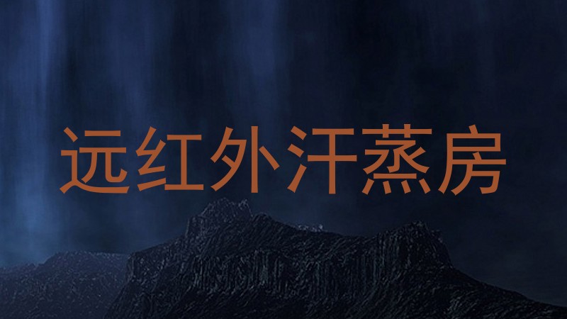 远红外汗蒸房