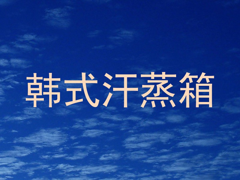 韩式汗蒸箱