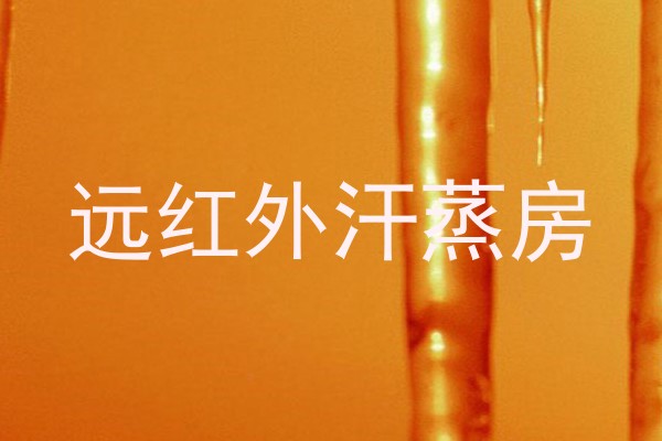 远红外汗蒸房