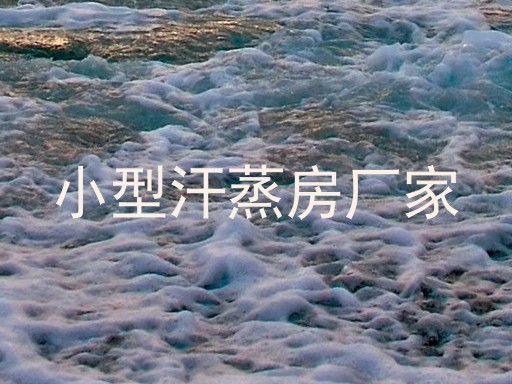 小型汗蒸房厂家