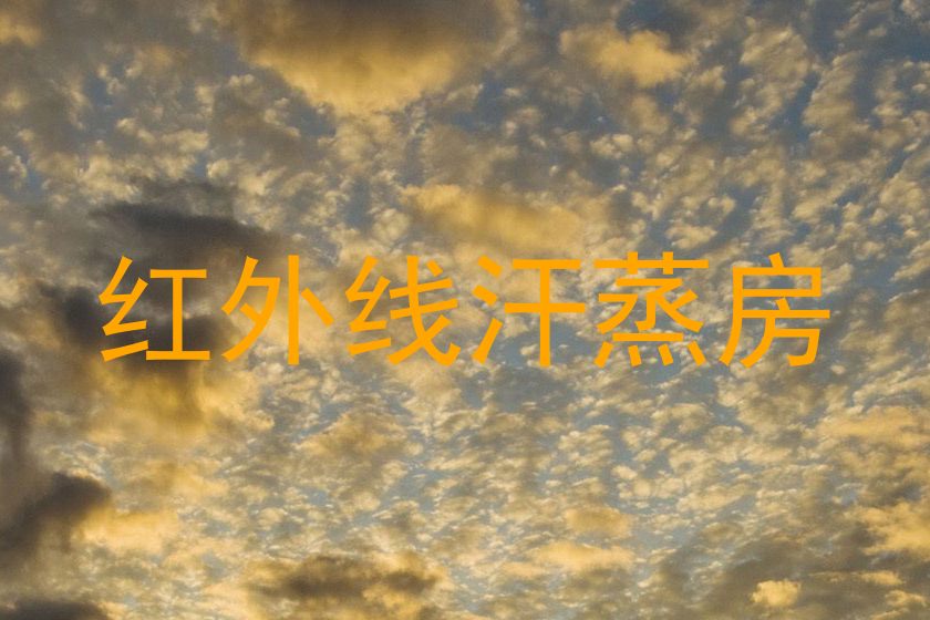红外线汗蒸房