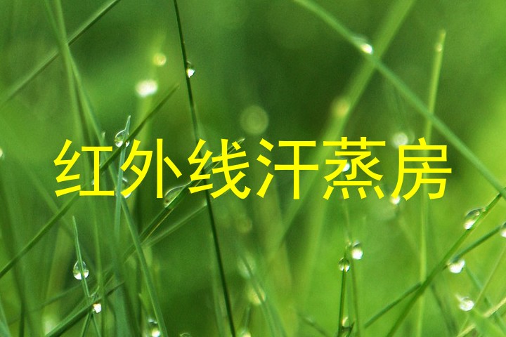 红外线汗蒸房