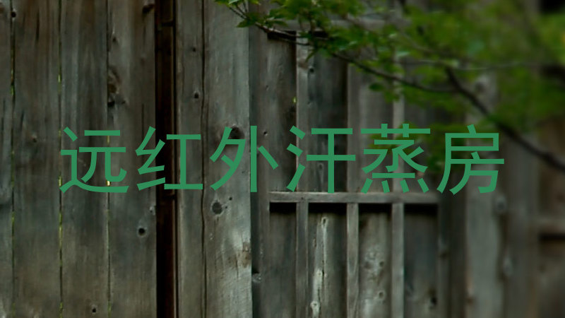 远红外汗蒸房