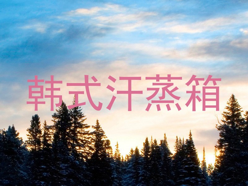 韩式汗蒸箱