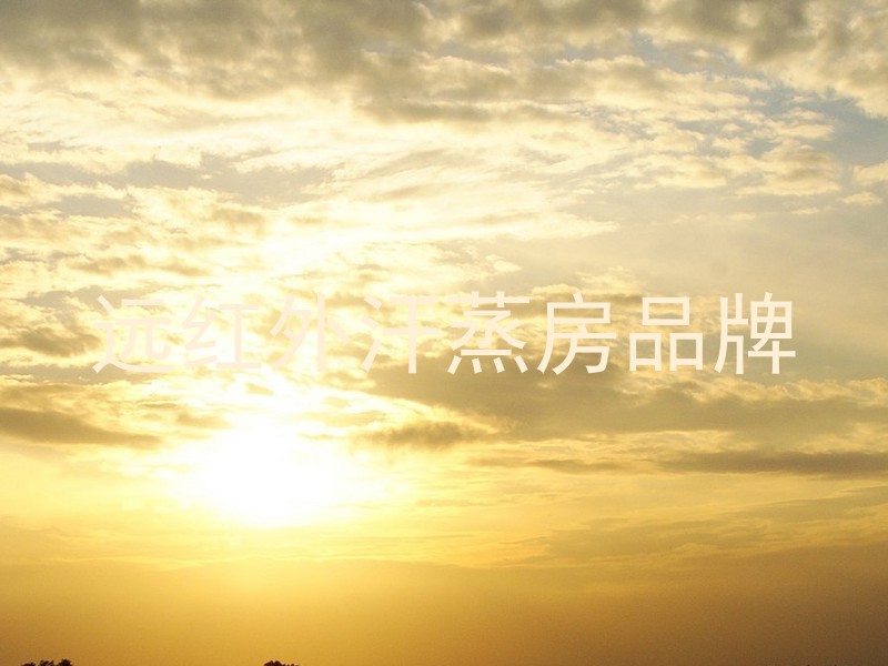 远红外汗蒸房品牌