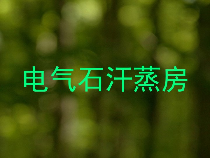 电气石汗蒸房