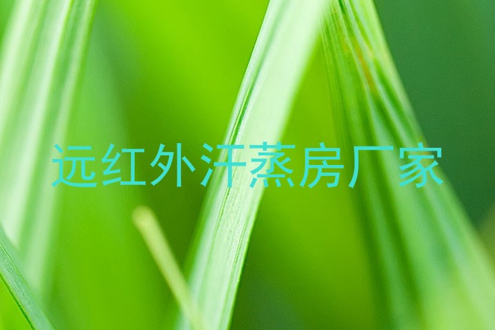 远红外汗蒸房厂家