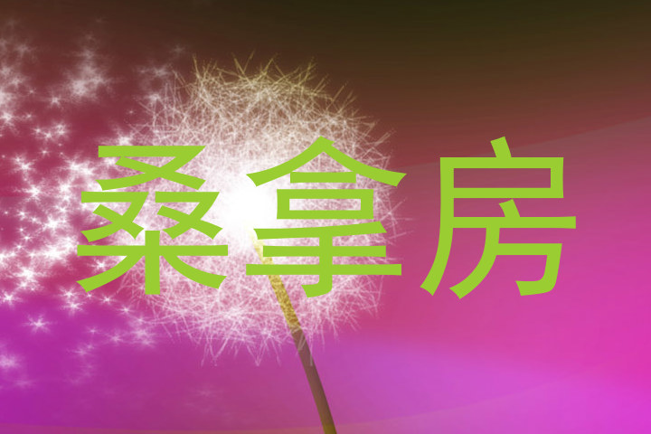 桑拿房