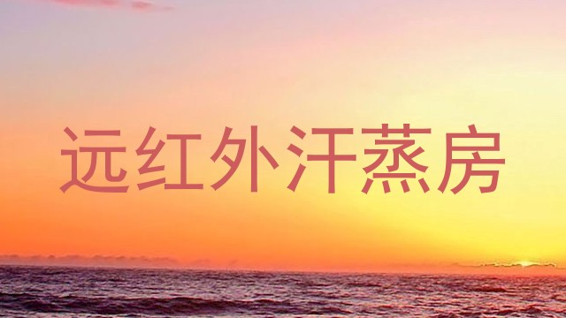 远红外汗蒸房