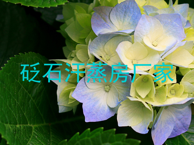 砭石汗蒸房厂家