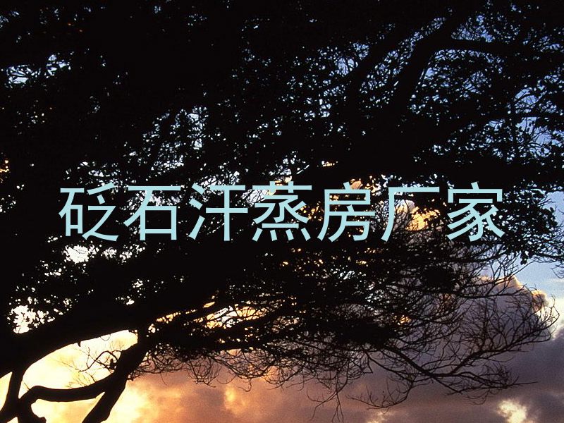砭石汗蒸房厂家