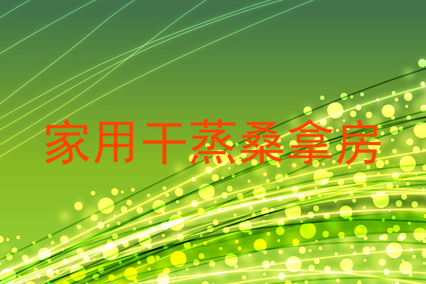 家用干蒸桑拿房