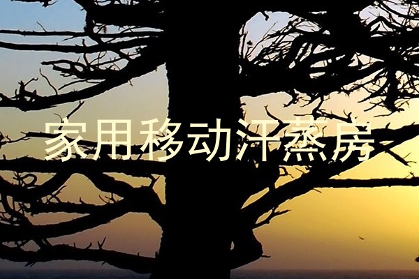 家用移动汗蒸房