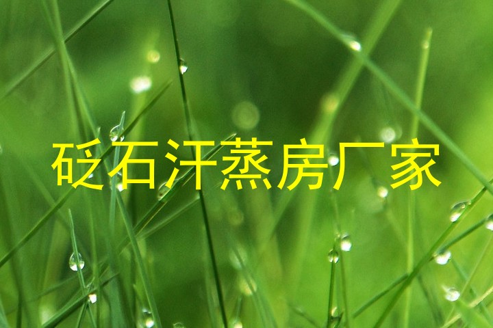 砭石汗蒸房厂家