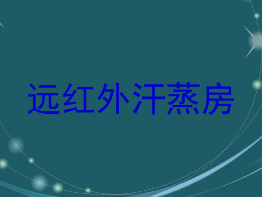 远红外汗蒸房