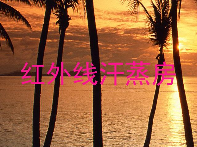 红外线汗蒸房