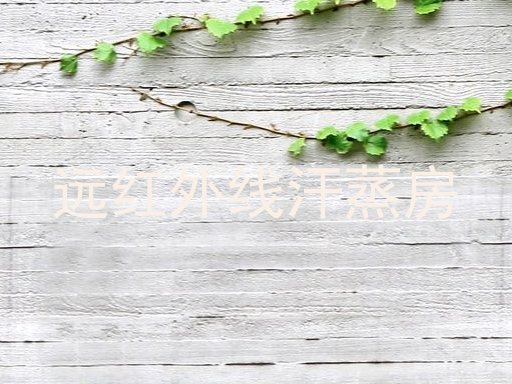 远红外线汗蒸房