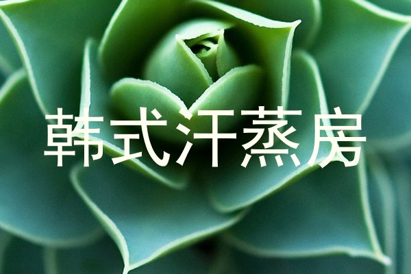 韩式汗蒸房