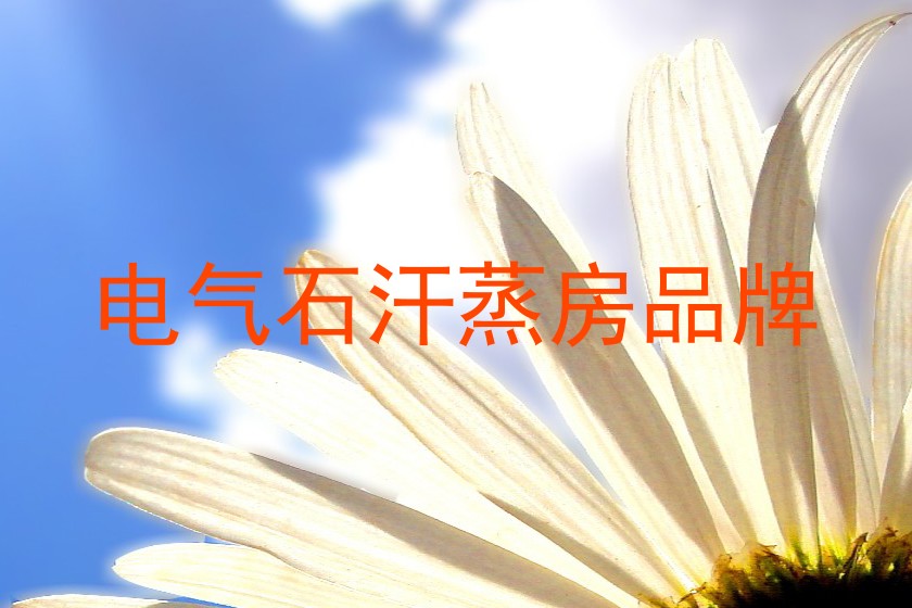 电气石汗蒸房品牌