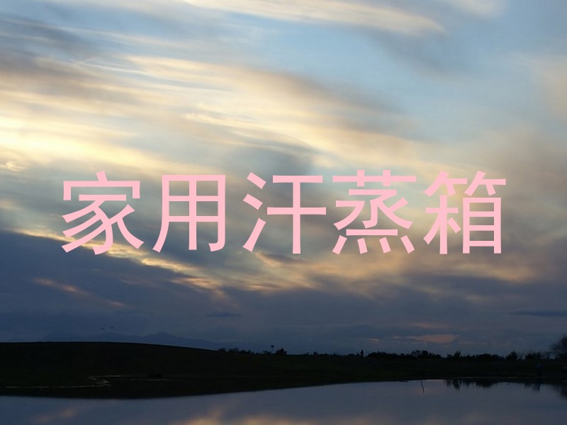 家用汗蒸箱