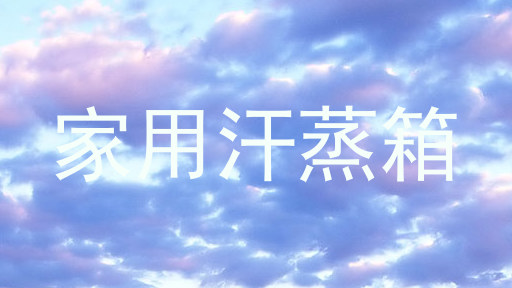 家用汗蒸箱