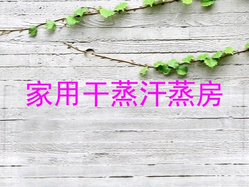 家用干蒸汗蒸房
