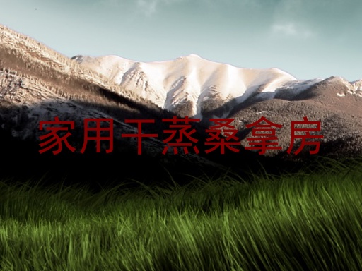 家用干蒸桑拿房