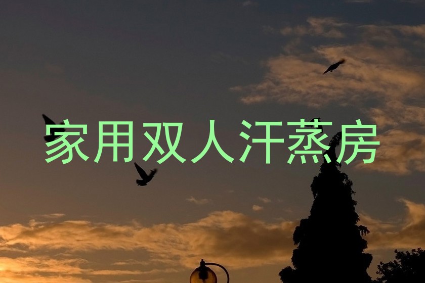家用双人汗蒸房