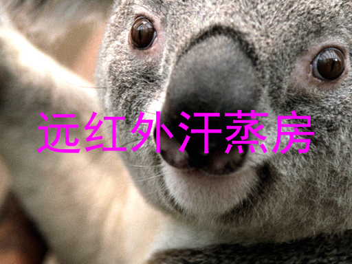 远红外汗蒸房