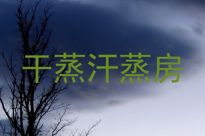 干蒸汗蒸房