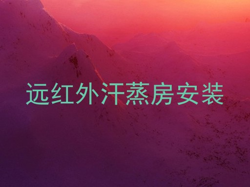 远红外汗蒸房安装